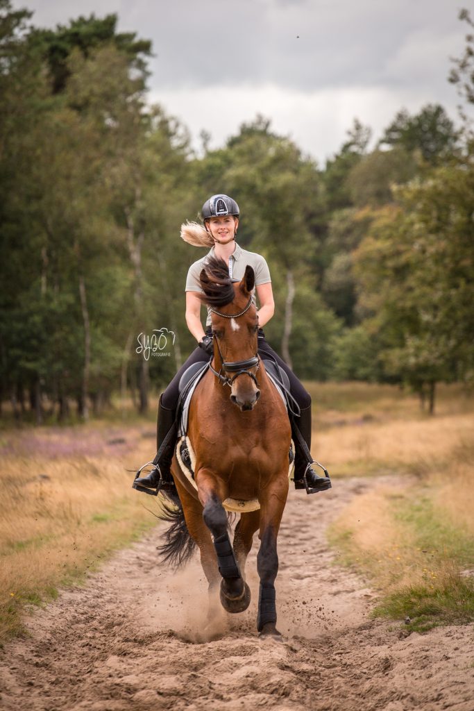 Friesland, Drenthe, Groningen, Paardenfotograaf friesland, Paardenmeisje, paardenfotografie, paardenshoot, paard, paardenfotograaf, paardenportret, paardensport, dressuur, sybofotografie