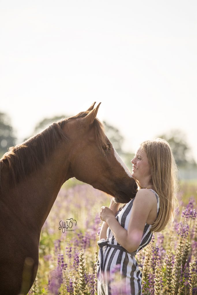 Friesland, Drenthe, Groningen, Paardenfotograaf friesland, Paardenmeisje, paardenfotografie, paardenshoot, paard, paardenfotograaf, paardenportret, sybofotografie